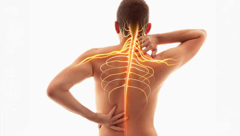 Enhance Nervous System Health in Belmont